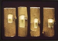 Vein Enation Woody Gall 