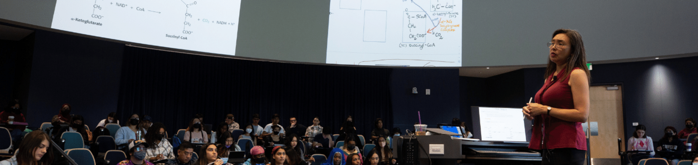 serious professor stands in front of classroom