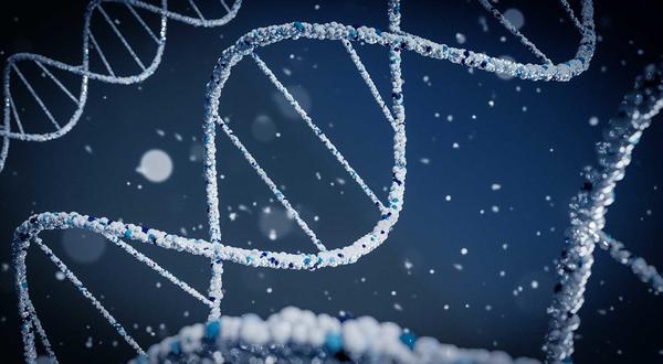 dna strands (c) brano unsplash