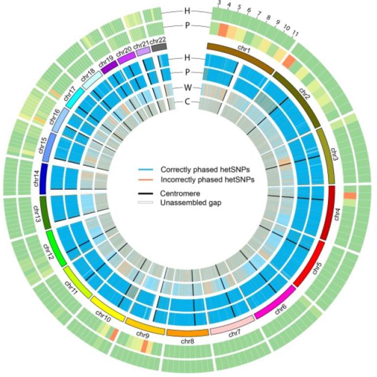 Quantitative Genetics