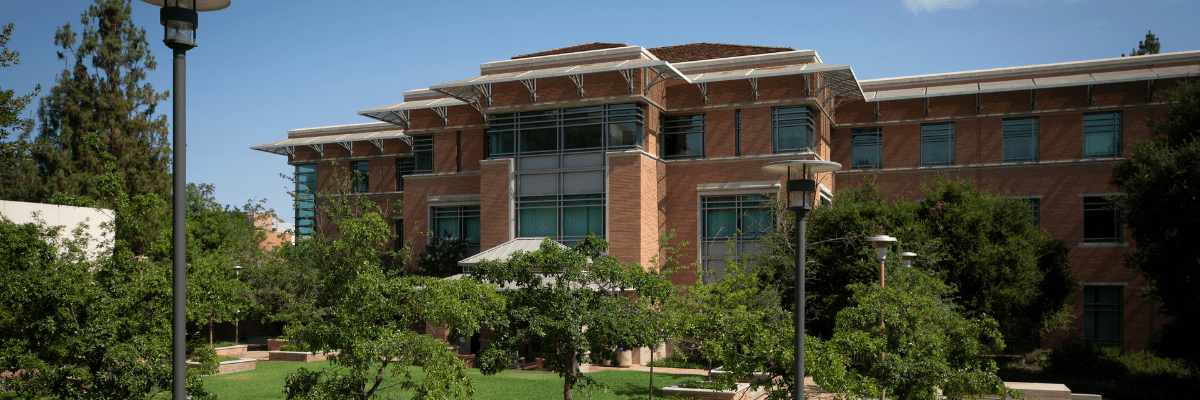 Image of Orbach Library