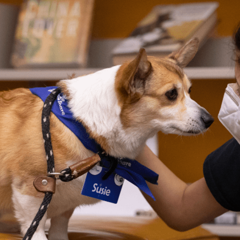 Image of student and dog at an FWSR event. 