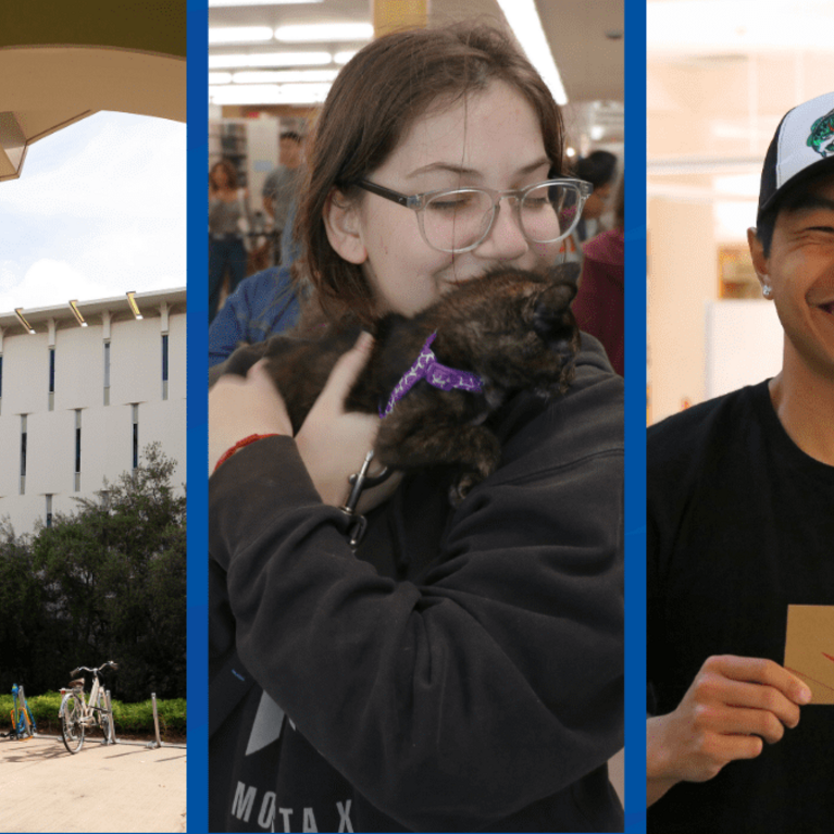 Finals Week Stress Relief photos