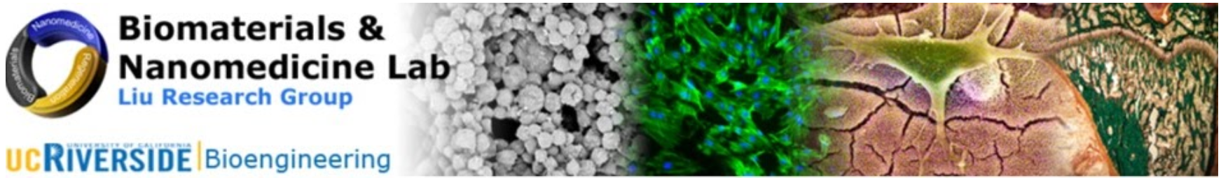 Welcome to the Biomaterials & Nanomedicine Lab