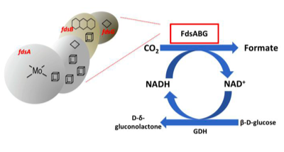 2019 ACS Biochemistry