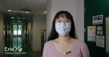 Erin Yip.png