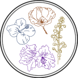 Pacific Math Alliance Logo