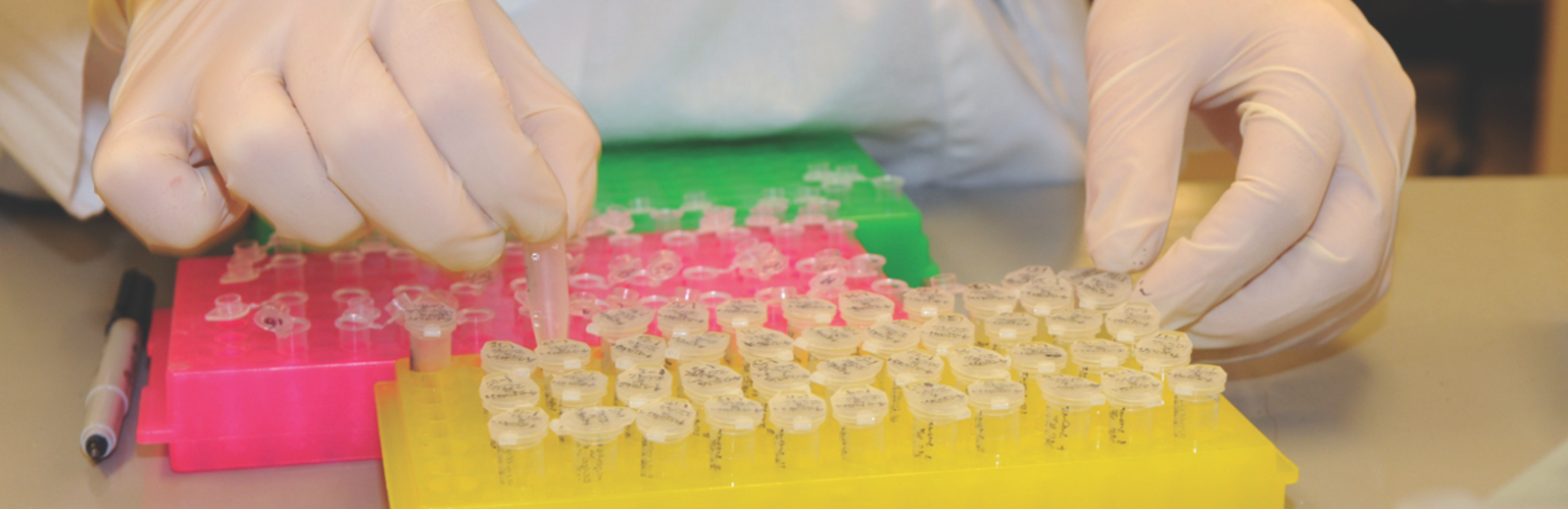 samples (c) unsplash