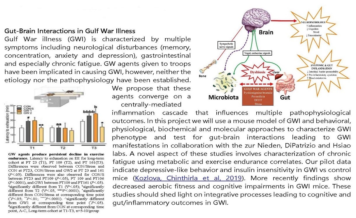 Selected Current Project