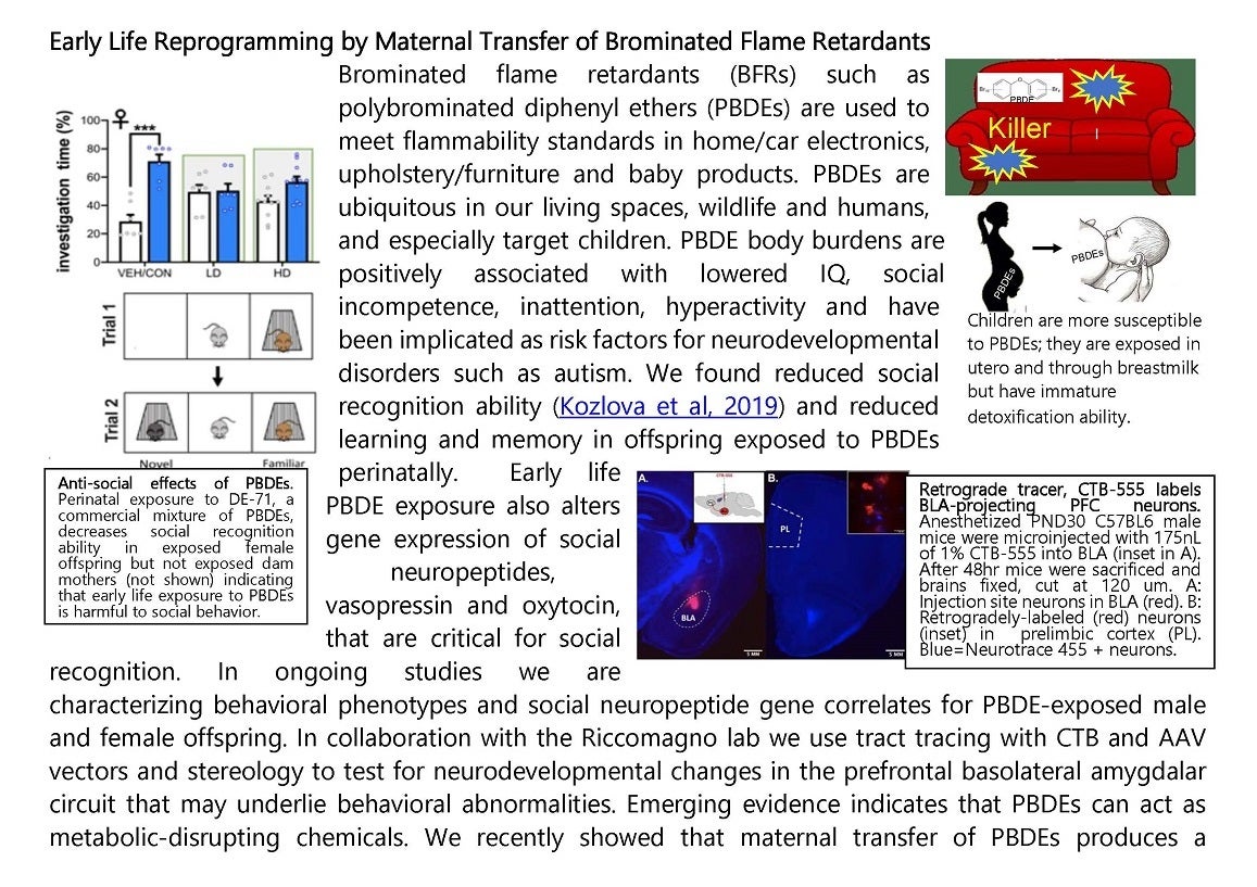 Selected Current Project 4.1crp