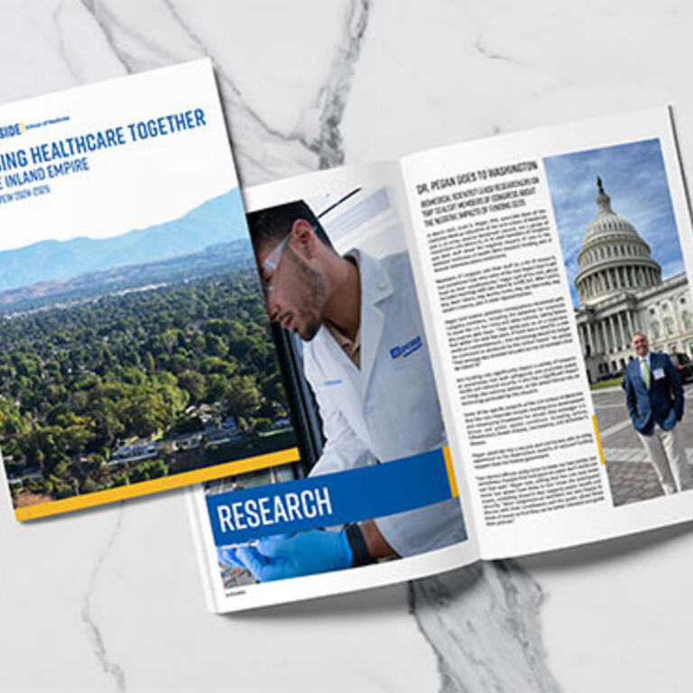 2024-25 Year in Review