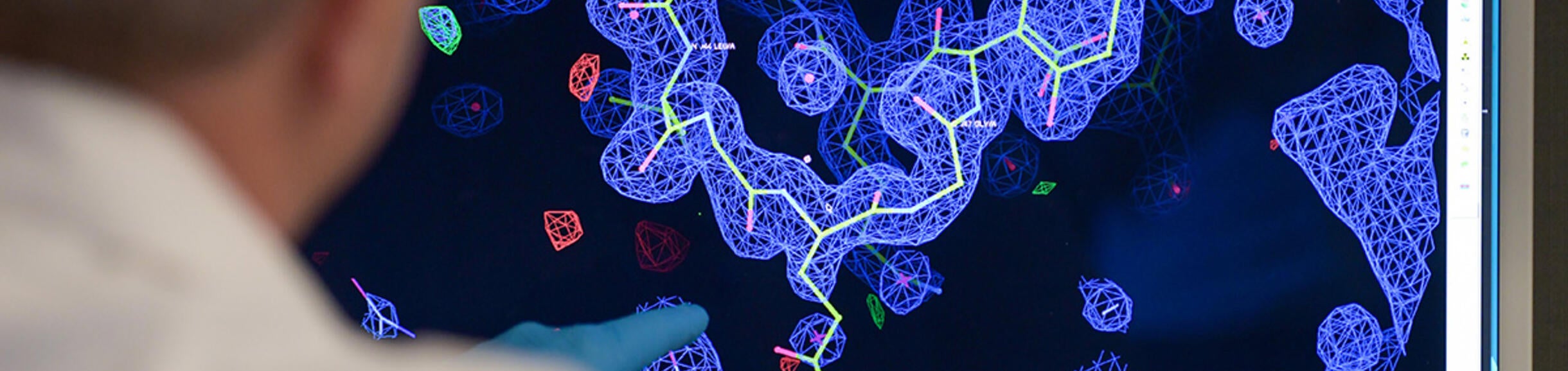 faculty member looking at data on a screen