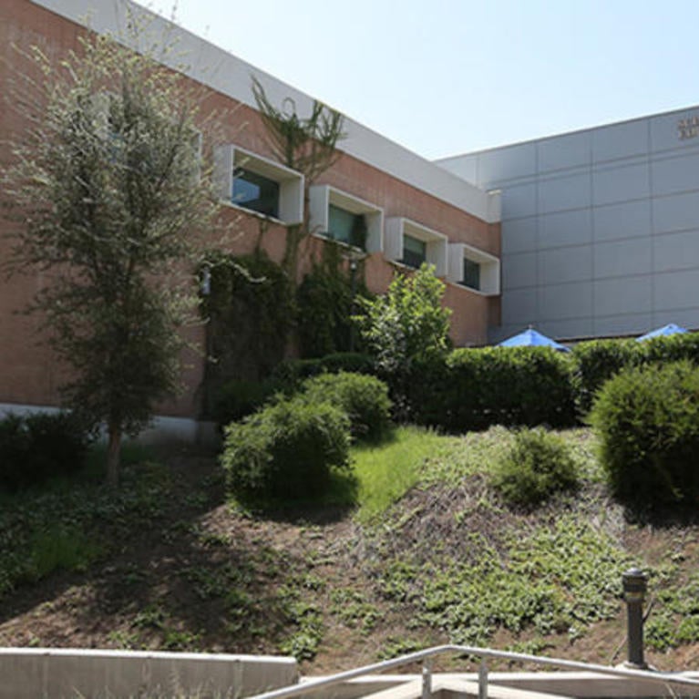 School of Medicine Education Building 1 at midday