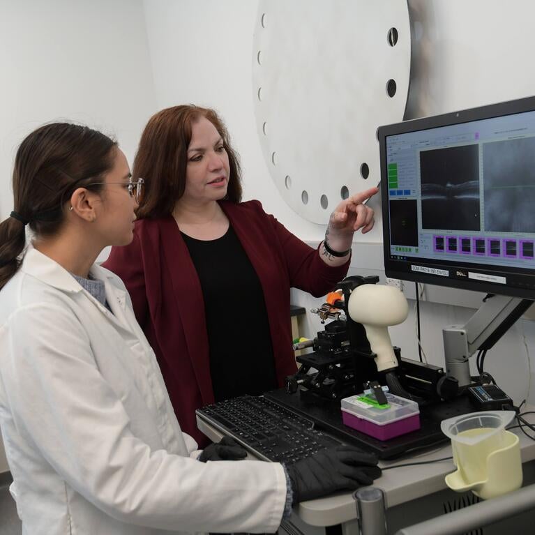 Dr. Tiwari-Woodruff at a lab computer with a student
