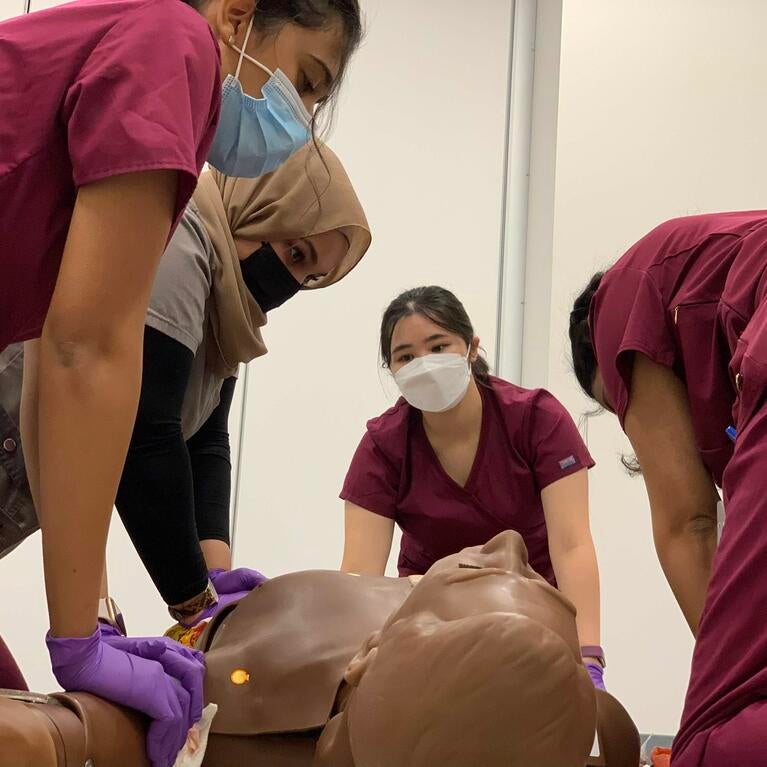 Disaster medicine training