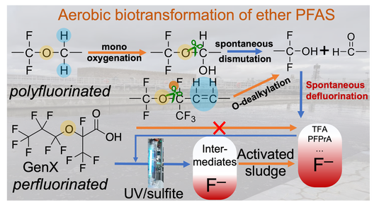 bosen-2023-estlett-toc