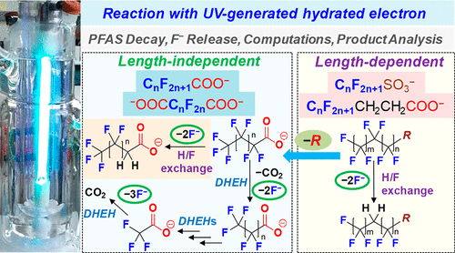Degradation of perfluoroalkyl ether carboxylic acids (PFECAs) with hydrated electrons: Structure-reactivity relationships and environmental implications