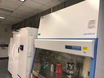 General MIcrobiology