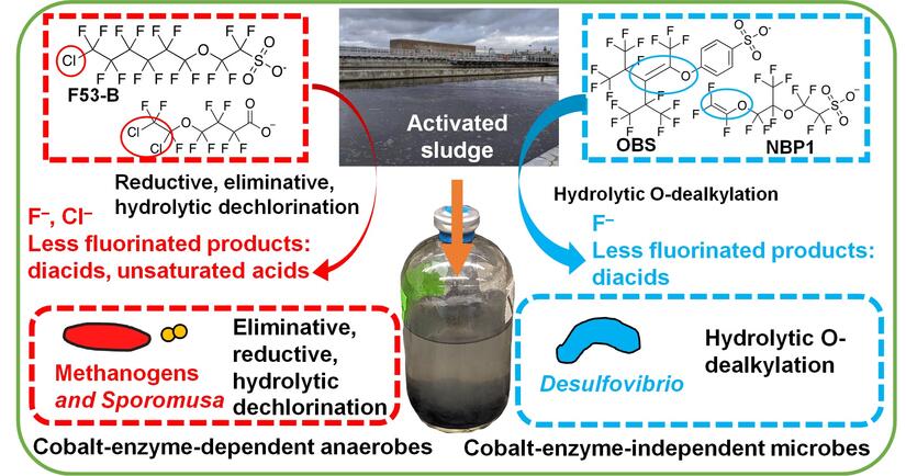 Ether_PFAS_anaerobic