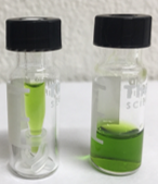 metabolomics image