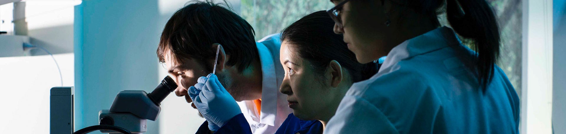 3 students looking through microscope in the lab (c) UCR / CNAS