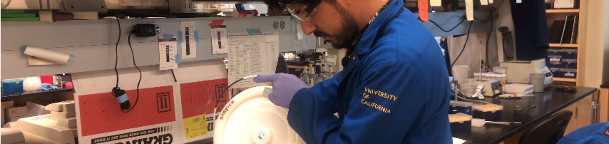 Jesus Pena, MCBL Ambassador (LAB)