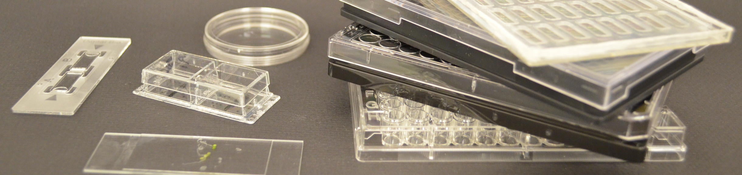 Inverted microscopes can handle all kinds of samples