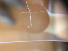 Laser Capture System Etches Glass