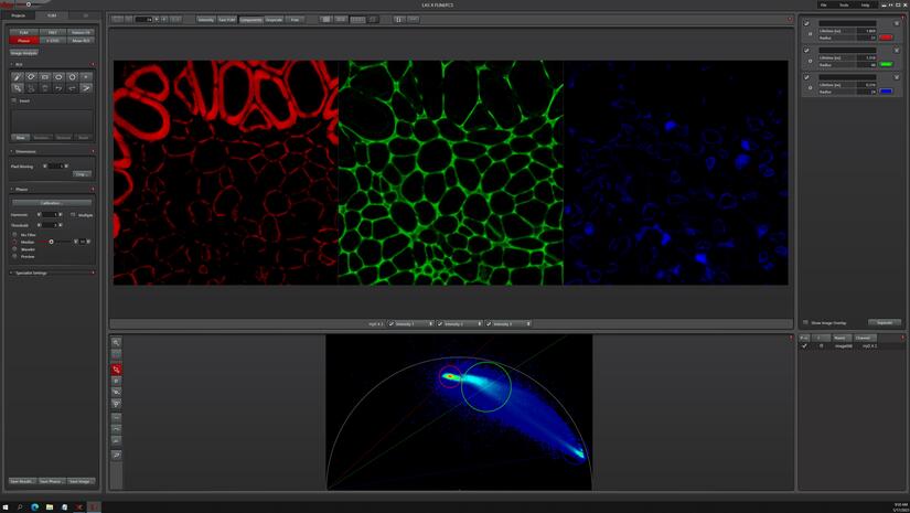 A whole new dimension  FLIM separates signal intuitively with Phasor Plot