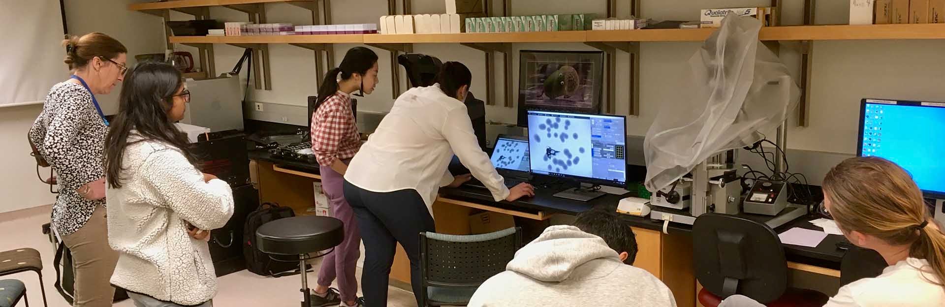 Use our new Booking System