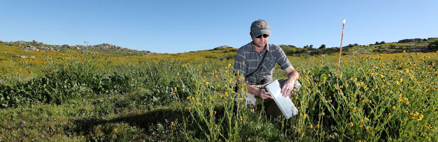 Motte Rimrock Reserve Steward Joseph Messin, (c) UCR / Stan Lim 2019