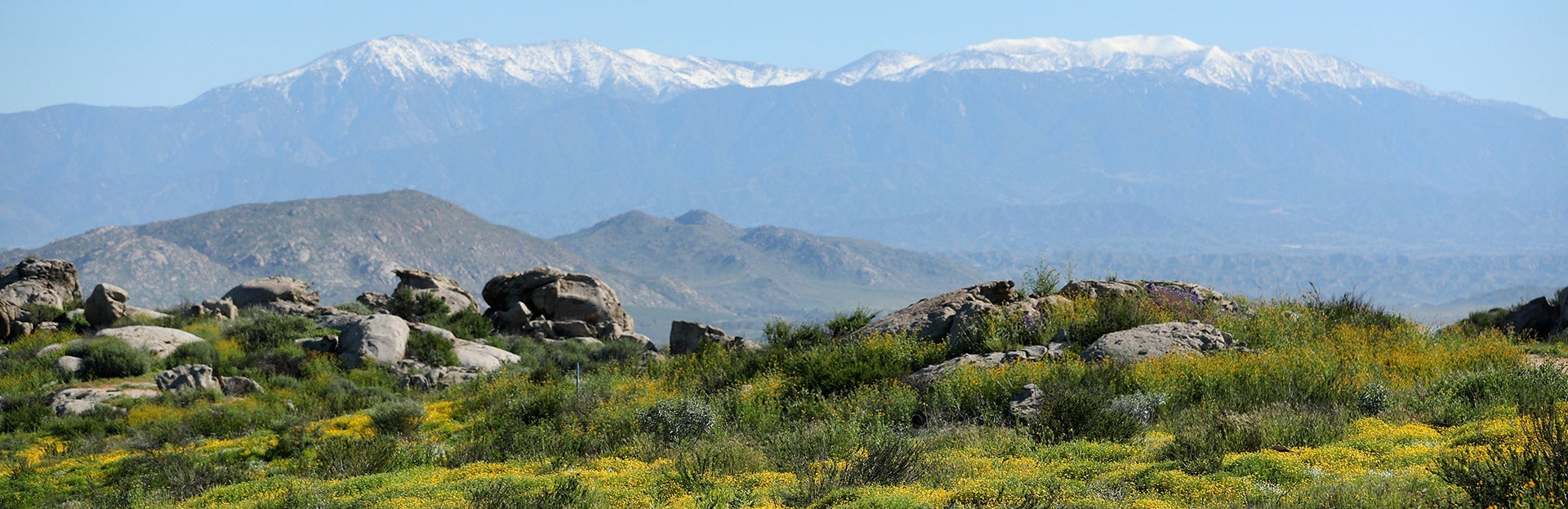 Stan Lims Field with Mountains