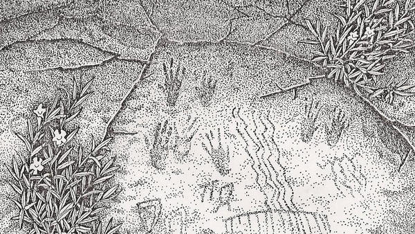 cultural history pictograph drawing