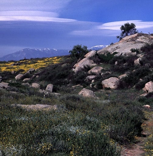 Motte Rimrock Reserve