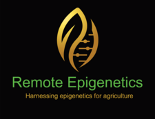 Remote Epigenetics