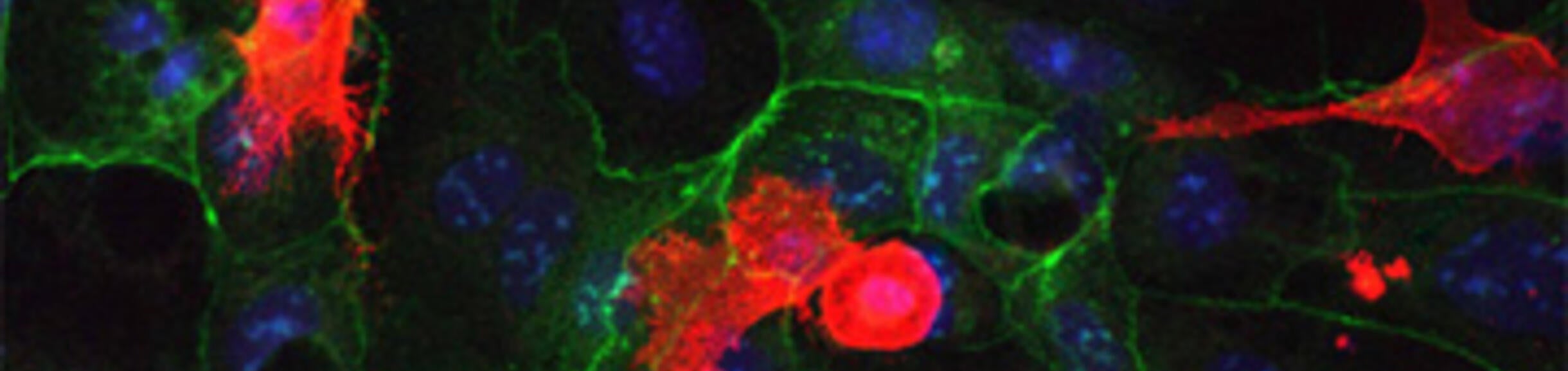 Science in Asian Translation