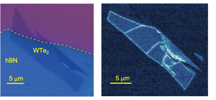MIM image of monolayer WTe2