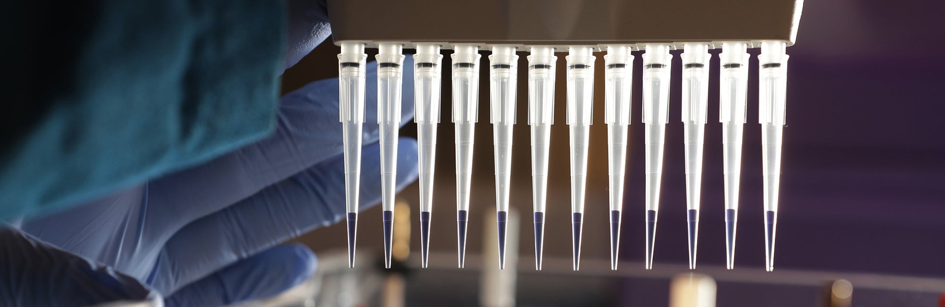 pipettes (c) UCR / CNAS