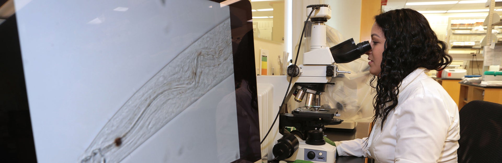 Mirayana on computer looking at nematode (c) UCR / CNAS
