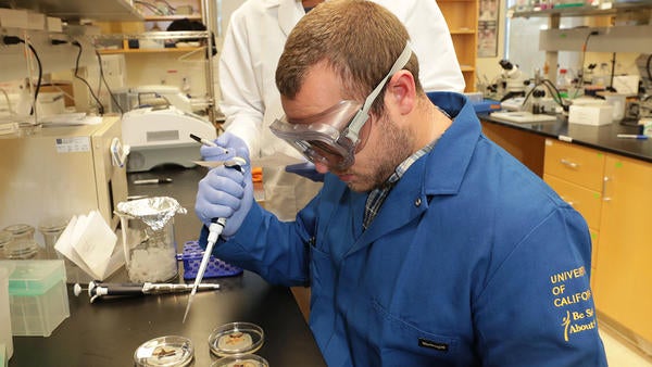 Jake looking at maggots with Undergraduate Student (c) UCR / CNAS