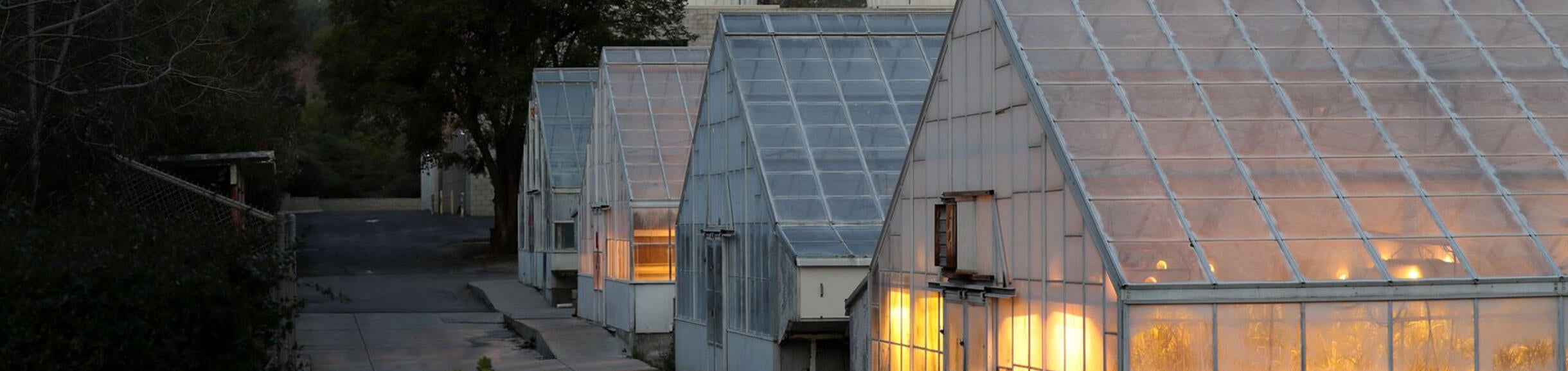 Greenhouse at night