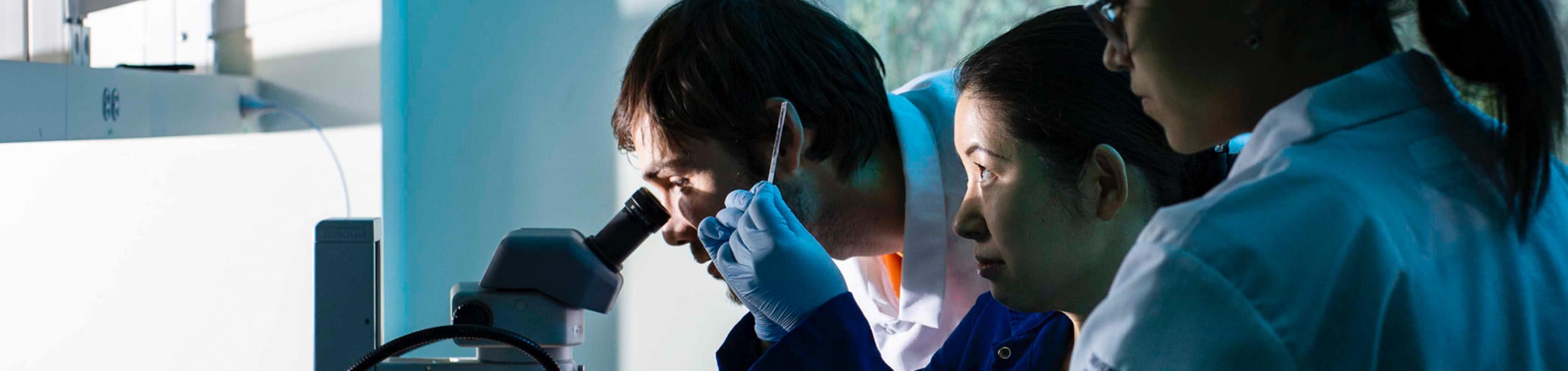 Students in the lab looking at slides and through a microscope (c) unsplash