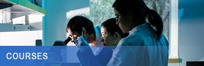 students looking through a microscope (c) unsplash