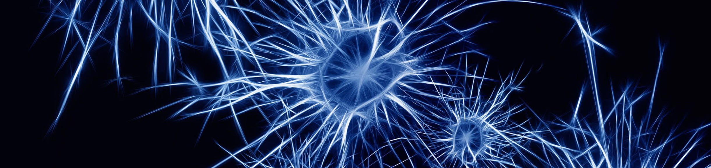 Neurons / Pixabay.com