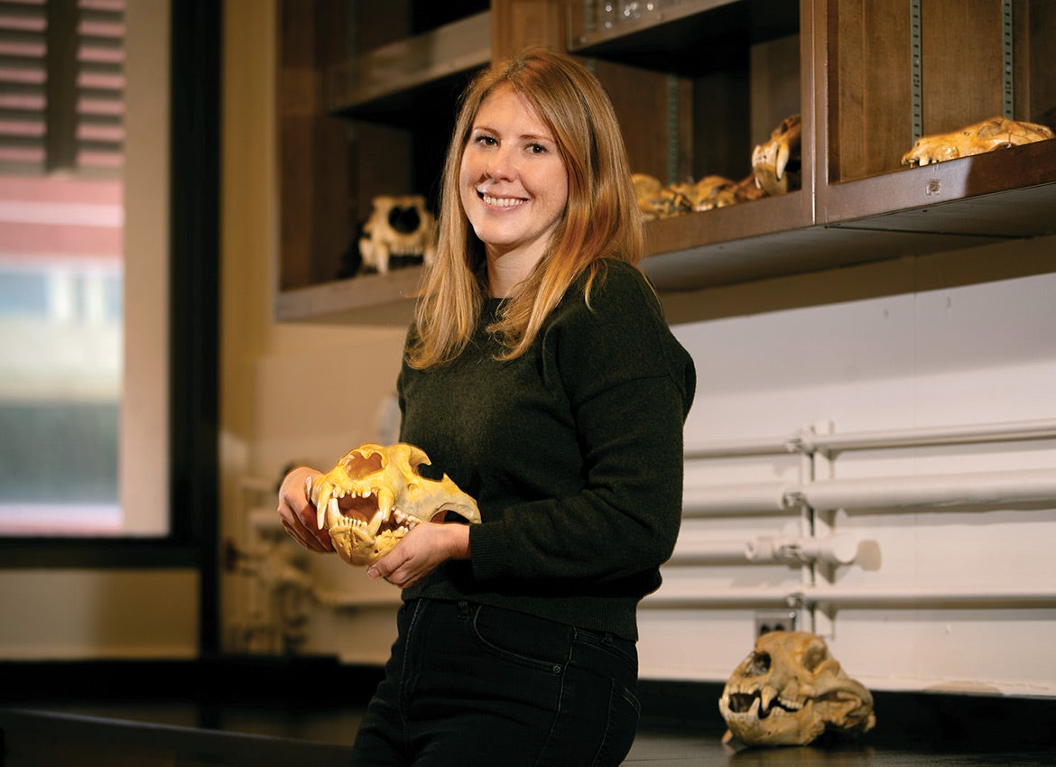 Armstrong’s genomic analysis of captive tigers has led to the largest genetic database for the big cats to date.