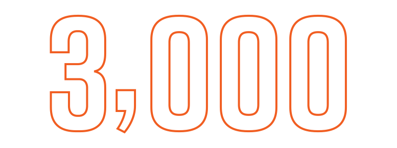 3,000 is the approximate number