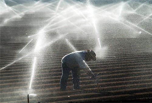 A sprinkler system sprays crops with water from the Colorado River.