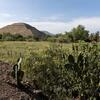 The Pyramid of the Sun in Teotihuacan.