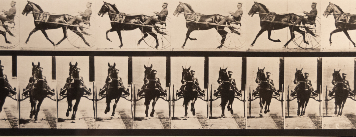 Photograph by Eadweard Muybridge “Animal Locomotion” on display in the exhibit Movement Exercises (After Muybridge) at UCR Arts, California Museum of Photography, running from March 2-July 7, 2024.  (UCR/Stan Lim)