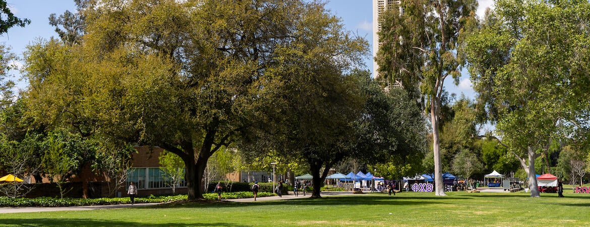 Pierce Lawn on campus
